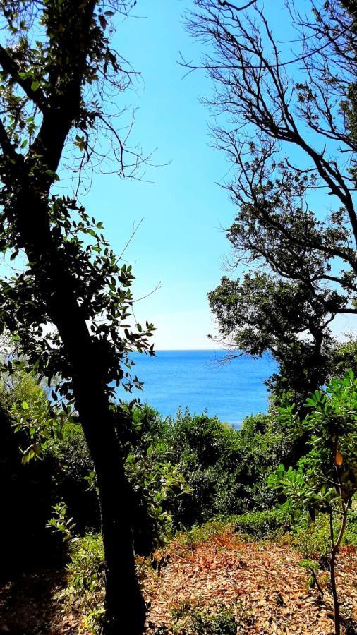 San Giuseppe Casa Per Ferie Hotel Quercianella Buitenkant foto