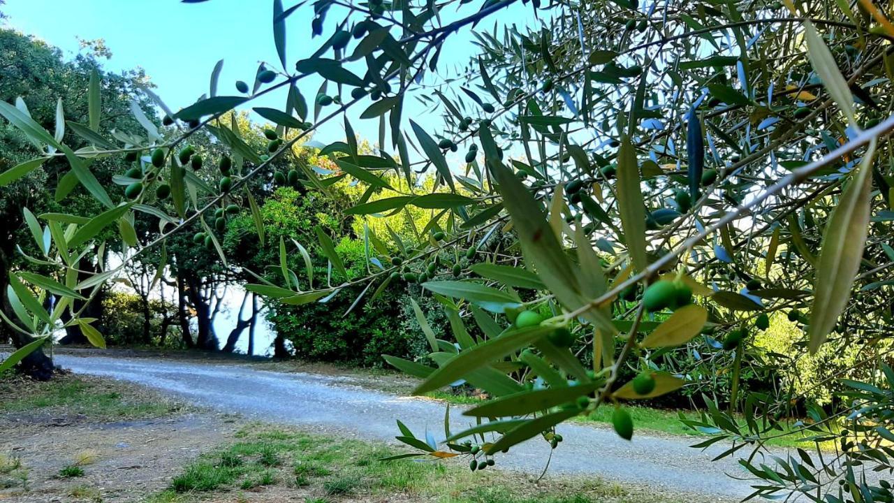 San Giuseppe Casa Per Ferie Hotel Quercianella Buitenkant foto