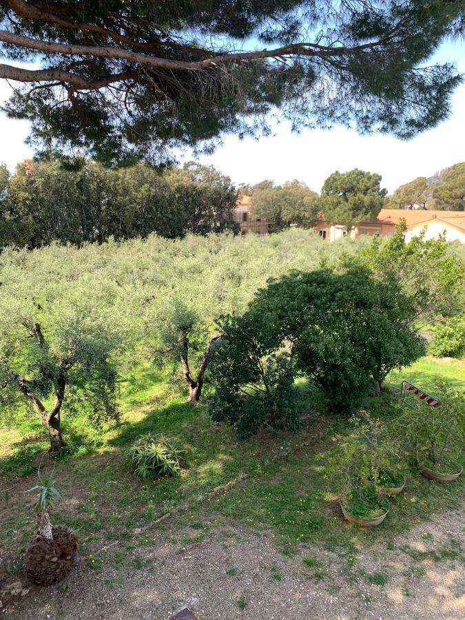 San Giuseppe Casa Per Ferie Hotel Quercianella Buitenkant foto